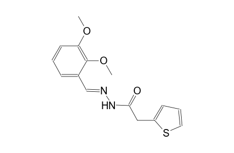 N'-[(E)-(2,3-dimethoxyphenyl)methylidene]-2-(2-thienyl)acetohydrazide