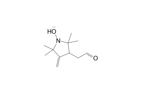3-Formylmethyl-2,2,5,5-tetramethyl-4-methylenepyrrolidin-1-yloxy radical