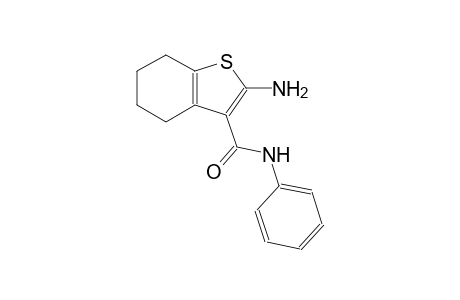 benzo[b]thiophene-3-carboxamide, 2-amino-4,5,6,7-tetrahydro-N-phenyl-