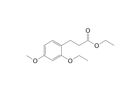 Ethyl 3-(2'-ethoxy-4'-methoxyphenyl)propanoate