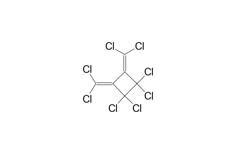 1,2-BIS-(DICHLOROMETHYLENE)-TETRACHLORO-CYCLOBUTANE