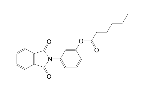 3-(1,3-dioxo-1,3-dihydro-2H-isoindol-2-yl)phenyl hexanoate