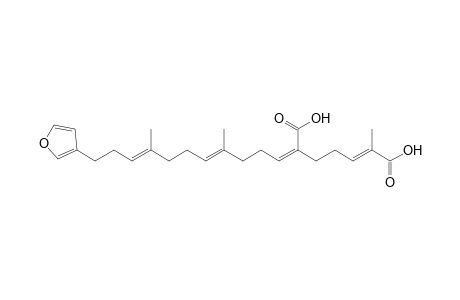 (E,6Z)-6-[(4E,8E)-11-(3-furanyl)-4,8-dimethylundeca-4,8-dienylidene]-2-methyl-2-heptenedioic acid