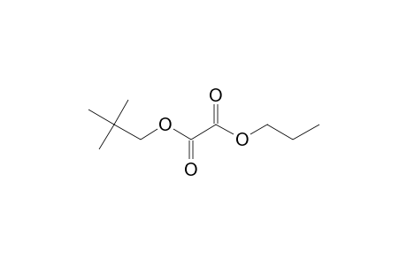 Oxalic acid, neopentyl propyl ester