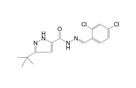1H-pyrazole-5-carboxylic acid, 3-(1,1-dimethylethyl)-, 2-[(E)-(2,4-dichlorophenyl)methylidene]hydrazide