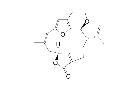 2-O-Methylbipinnatin J