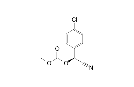 (S)-2-(Methoxycarbonyloxy)-2-(4-chlorophenyl)acetonitrile
