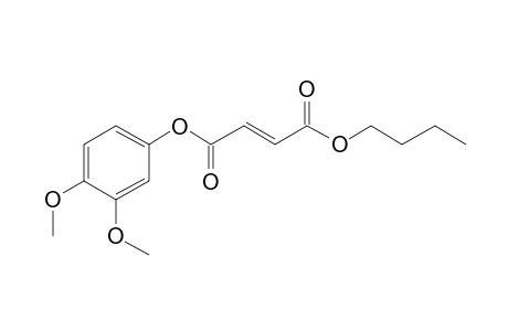 Fumaric acid, butyl 3,4-dimethoxyphenyl ester