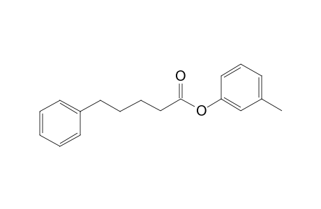 5-Phenylvaleric acid, 3-methylphenyl ester