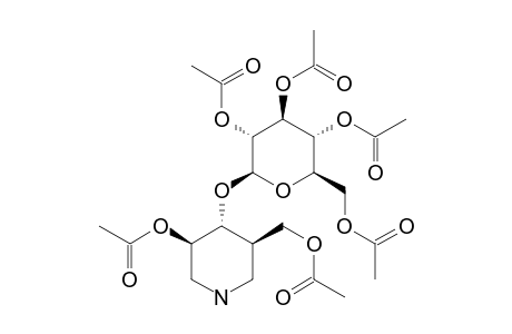 (3R,4R,5R)-3-ACETOXY-5-ACETOXYMETHYL-4-[(TETRA-O-ACETYL-BETA-D-GLUCOPYRANOSYL)-OXY]-PIPERIDINE