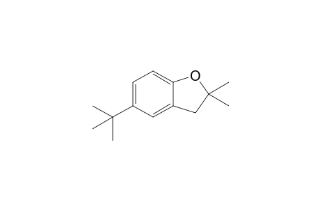 5-tert-Butyl-2,2-dimethyl-3H-1-benzofuran