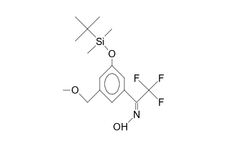 (<3-(T-Butyl-dimethyl-silyloxy)-5-(methoxymethyl)>-phenyl)-2,2,2-trifluoro-ethanone oxime