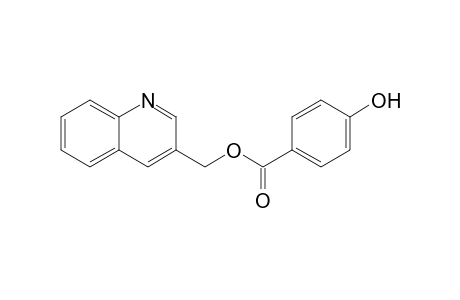 3-quinolylmethyl 4-hydroxybenzoate