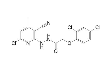 (2,4-Dichloro-phenoxy)-acetic acid N'-(6-chloro-3-cyano-4-methyl-pyridin-2-yl)-hydrazide