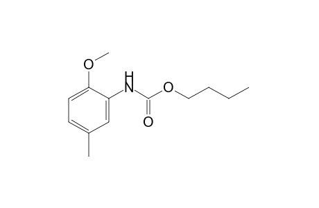 2-methoxy-5-methylcarbanilic acid, butyl ester