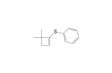4,4-Dimethyl-1-phenylthio-1-cyclobutene