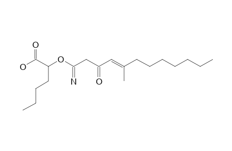 2-[(E)-3-keto-5-methyl-dodec-4-enimidoyl]oxyhexanoic acid