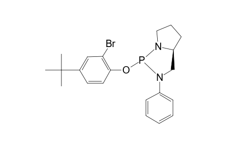 (2R,5S)-2-(2-BROMO-4-TERT.-BUTYLPHENOXY)-3-PHENYL-1,3-DIAZA-2-PHOSPHABICYCLO-[3.3.0(1,5)]-OCTANE