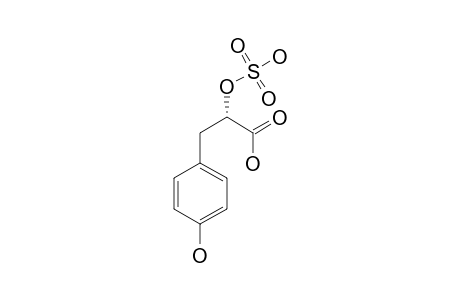 TICHOCARPOL-A;(2R)-3-(PARAHYDROXYPHENYL)-2-SULFOOXYPROPANOIC-ACID