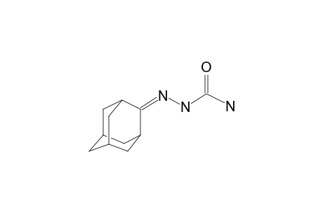 1-(2-Adamantylidene)semicarbazide