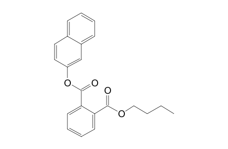 Phthalic acid, butyl 2-naphthyl ester