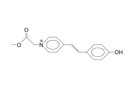 (E)-N-Methoxycarbonylmethyl-4-P-hydroxystyryl-pyridinium cation