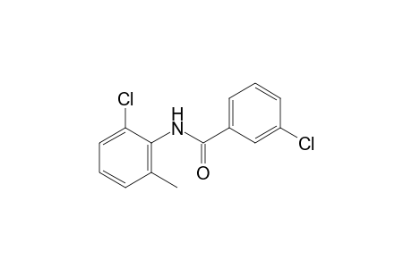 3,6'-dichloro-o-benzotoluidide