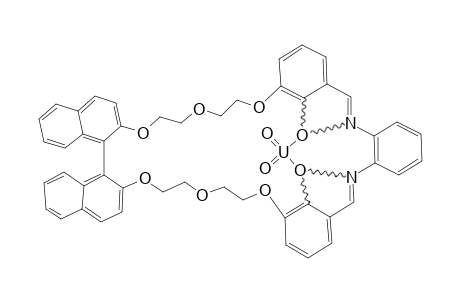 1A;[4,5,7,8,29,30,32,33-OCTAHYDRO-10,14:23,27-DIMETHENOBENZO-[Z]-DINAPHTO-[2,1-H:1',2'-J]-[1,4,7,12,15,18,25,28]-HEXAOXADIAZACYCLOTETRATRIACONTINE-45,46-DIOLAT