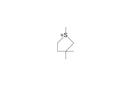 1,3,3-Trimethyl-tetrahydrothiophenium cation
