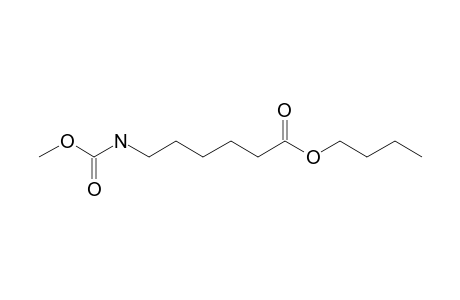 6-Aminocaproic acid, N-methoxycarbonyl-, butyl ester