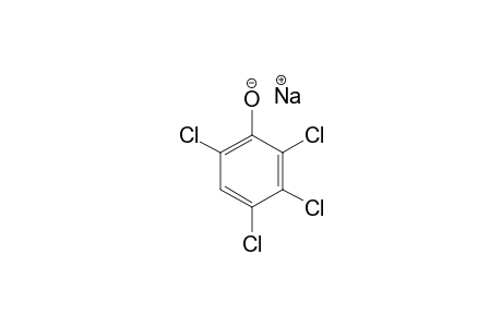 2,3,4,6-tetrachlorophenol, sodium salt