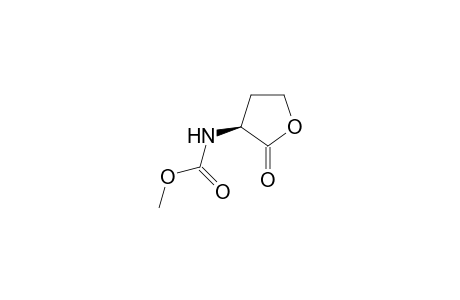 N-(methoxycarbonyl)homoserine lactone