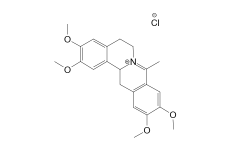 2,3,10,11-Tetramethoxy-8-methyl-13,14-dihydroprotoberberinium Chloride