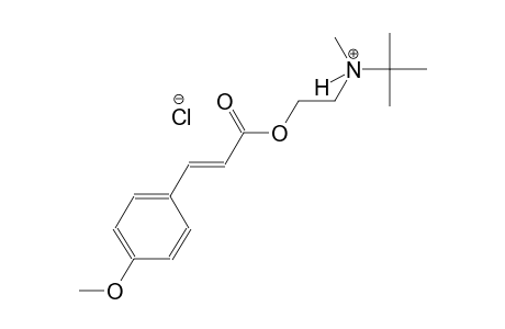 N-(2-{[(2E)-3-(4-methoxyphenyl)-2-propenoyl]oxy}ethyl)-N,2-dimethyl-2-propanaminium chloride