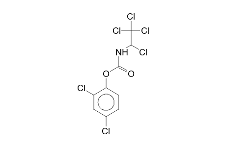 2,4-Dichlorophenyl 1,2,2,2-tetrachloroethylcarbamate