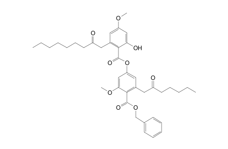 benzyl 4-[2'-hydroxy-4'-methoxy-6'-(2''-oxononyl)benzoyloxy]-2-methoxy-6-(2-oxoheptyl)benzoate