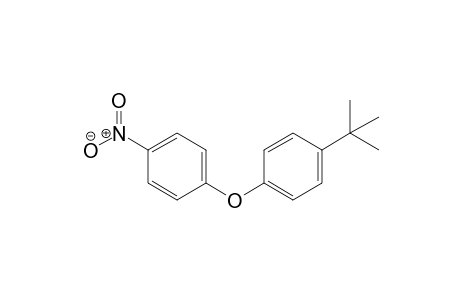 4'-t-Butyl-4-nitro-diphenyl ether