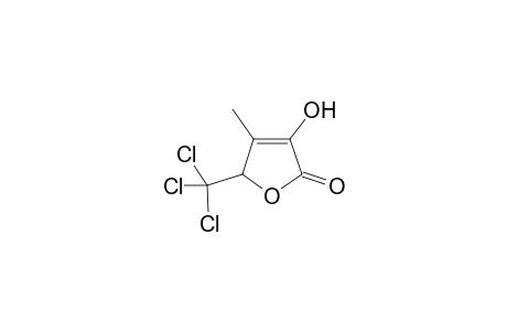 Furan-2(5H)-one, 5-trichloromethyl-3-hydroxy-4-methyl-