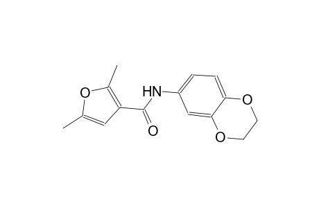 N-(2,3-dihydro-1,4-benzodioxin-6-yl)-2,5-dimethyl-3-furamide