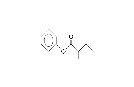 2-Methyl-butanoic acid, phenyl ester