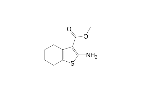 Benzo[b]thiophene-3-carboxylic acid, 2-amino-4,5,6,7-tetrahydro-, methyl ester
