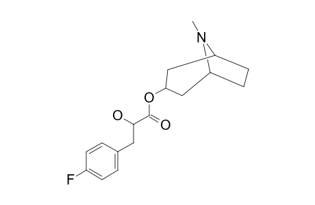 TROPANYL-(RS)-3-(4'-FLUOROPHENYL)-LACTATE;4'-F-LITTORINE