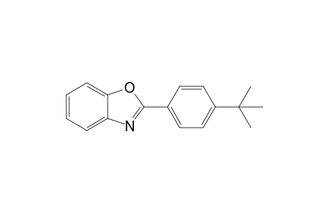 2-(4-tert-Butylphenyl)benzoxazole
