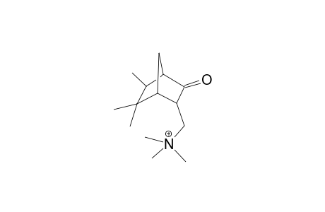 3-exo-(trimethylaminium)methyl-5,5,6-trimethylbicyclo[2.2.1]-2-heptanone iodide