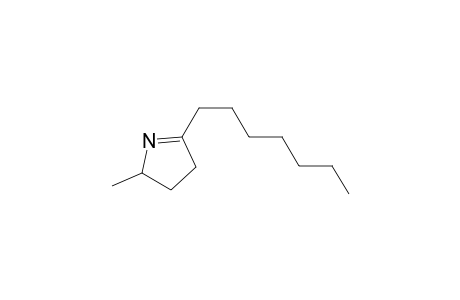 2-Heptyl-5-methyl-1-pyrroline
