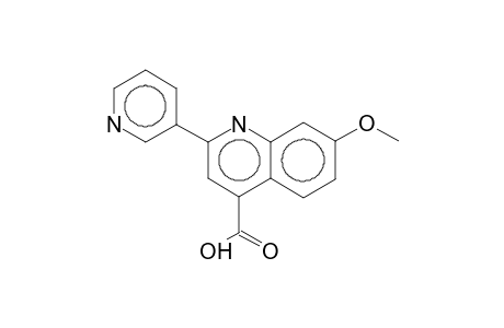 7-Methoxy-2-(3-pyridinyl)-4-quinolinecarboxylic acid