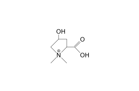 trans-4-Hydroxy-proline-betaine cation