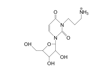 N-3-(3-Aminopropyl)-uridine cation