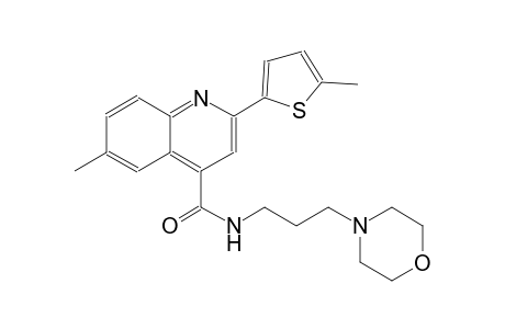 6-methyl-2-(5-methyl-2-thienyl)-N-[3-(4-morpholinyl)propyl]-4-quinolinecarboxamide
