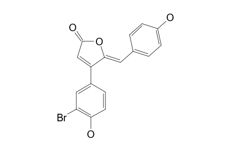 3'-BROMORUBROLIDE_E;4-(3-BROMO-4-HYDROXYPHENYL)-5-(4-HYDROXYBENZYLIDENE)-FURAN-2-(5-H)-ONE